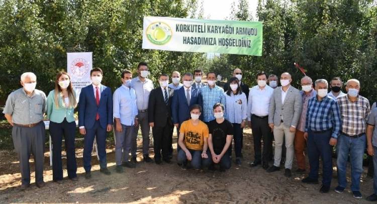 Vali Yazıcı Karyağdı Hasadında